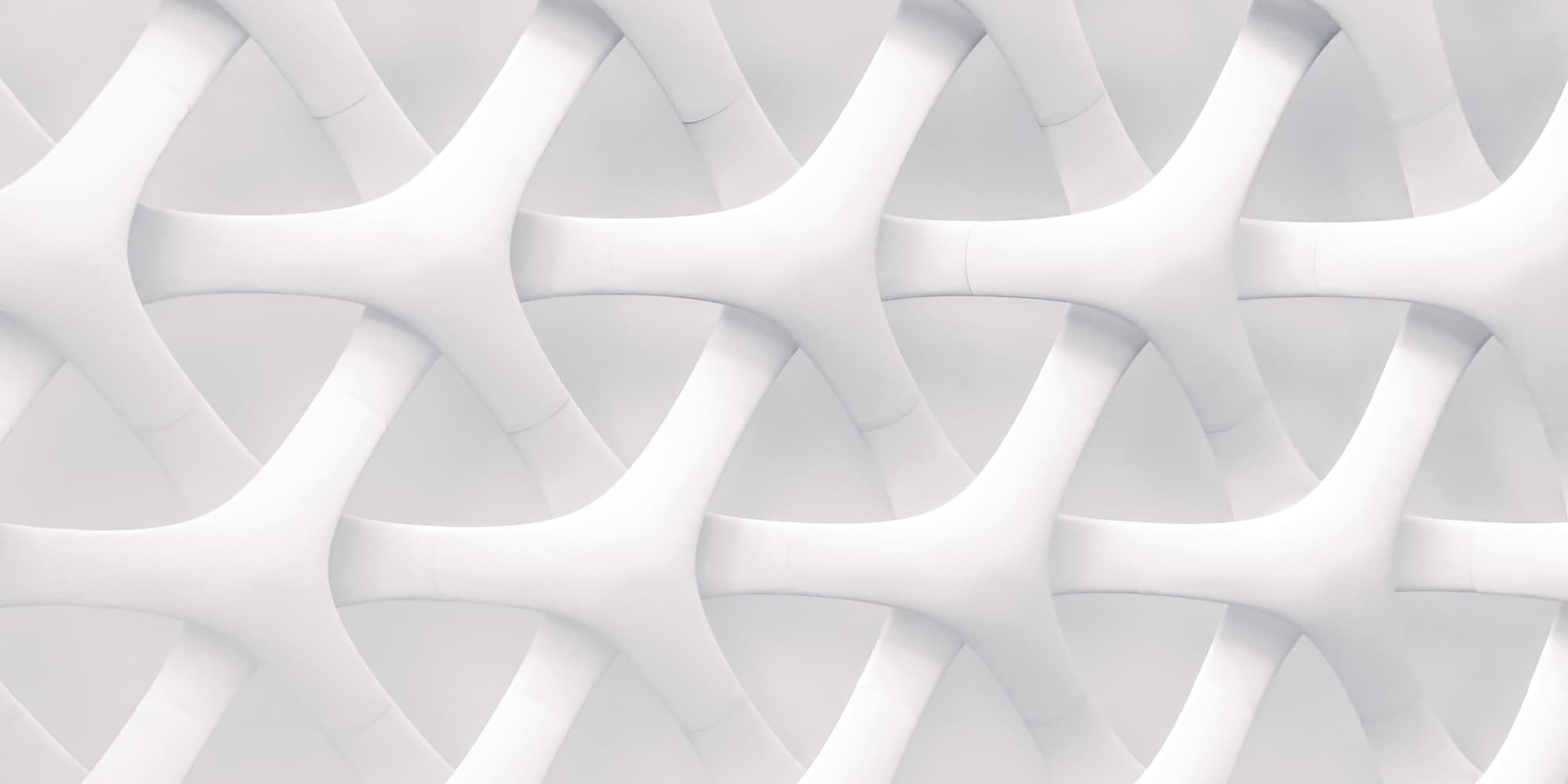 Cover Image for What We Do